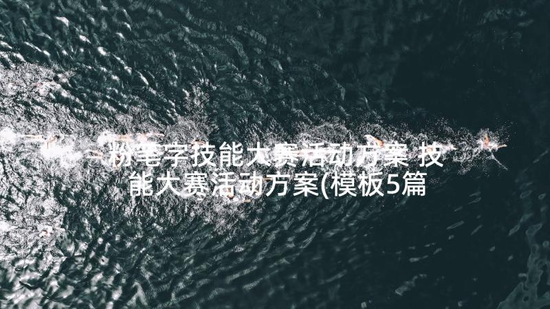 粉笔字技能大赛活动方案 技能大赛活动方案(模板5篇)