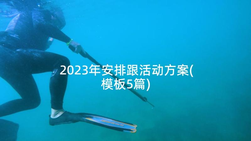 2023年安排跟活动方案(模板5篇)