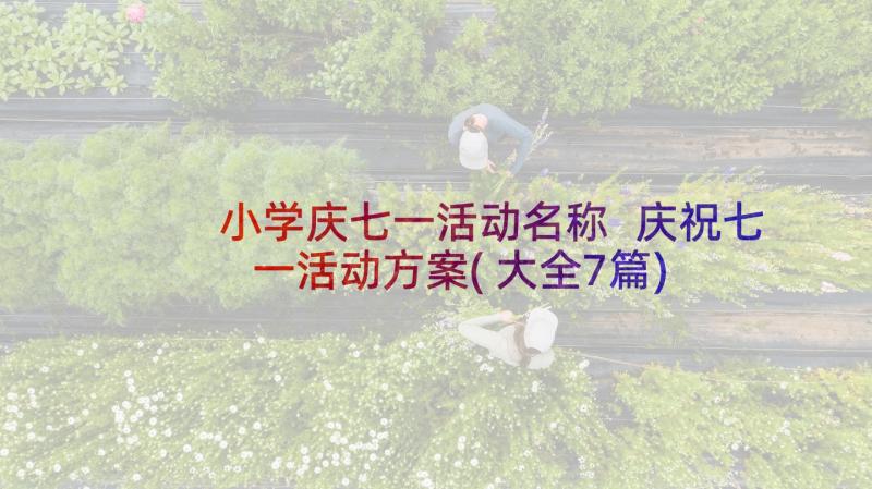 小学庆七一活动名称 庆祝七一活动方案(大全7篇)