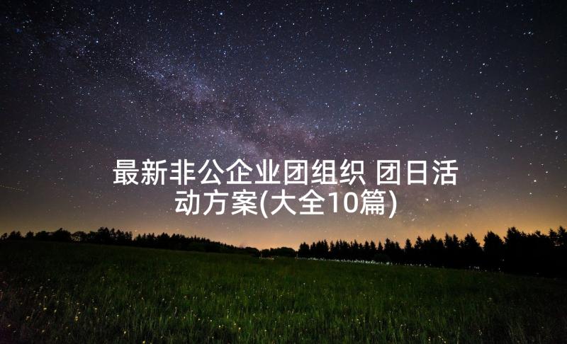 最新非公企业团组织 团日活动方案(大全10篇)