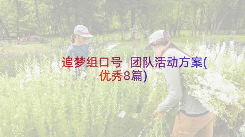 追梦组口号 团队活动方案(优秀8篇)