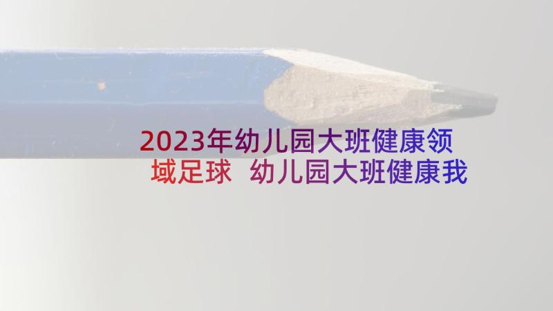 2023年幼儿园大班健康领域足球 幼儿园大班健康我最喜欢玩活动方案设计(模板5篇)