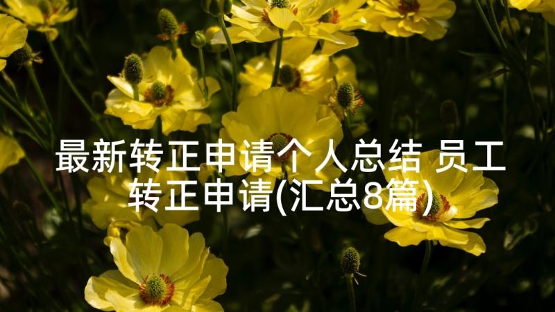 最新转正申请个人总结 员工转正申请(汇总8篇)