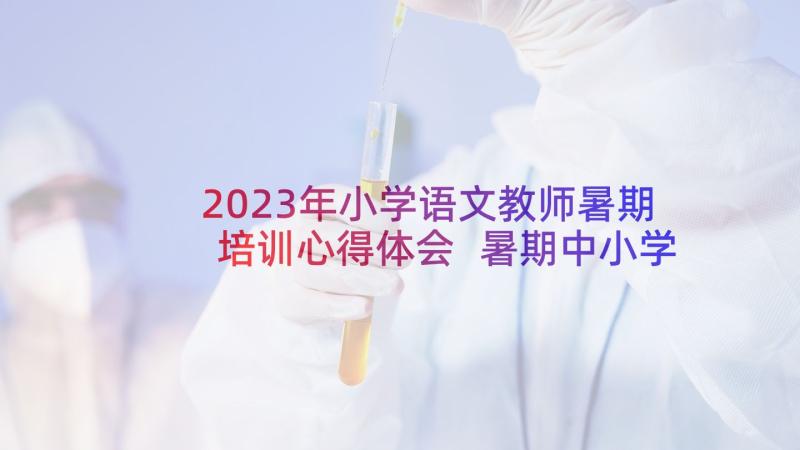 2023年小学语文教师暑期培训心得体会 暑期中小学培训心得体会(优秀7篇)