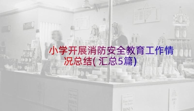 小学开展消防安全教育工作情况总结(汇总5篇)