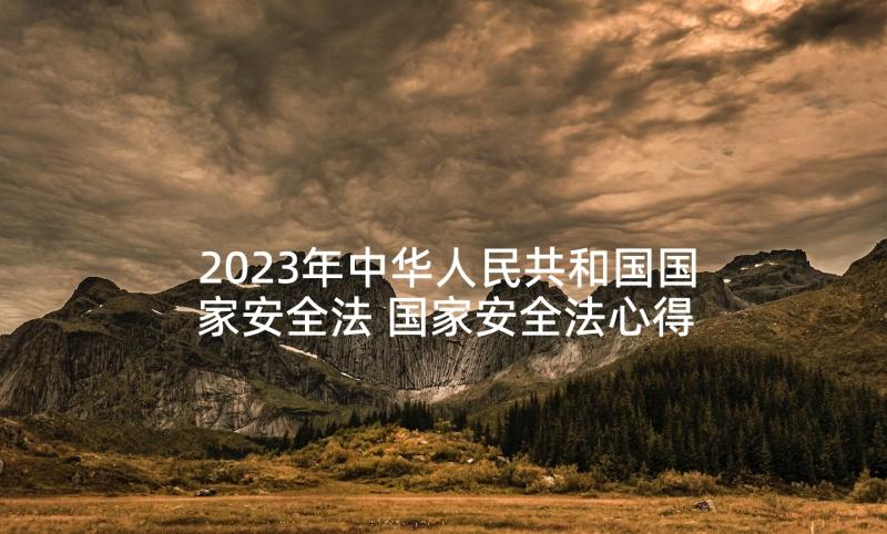 2023年中华人民共和国国家安全法 国家安全法心得体会(大全5篇)