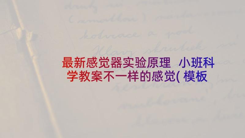 最新感觉器实验原理 小班科学教案不一样的感觉(模板5篇)