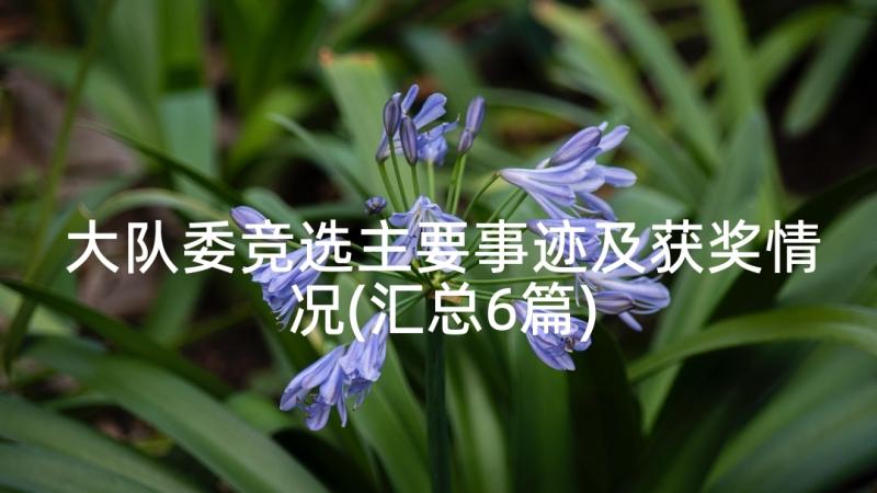 大队委竞选主要事迹及获奖情况(汇总6篇)