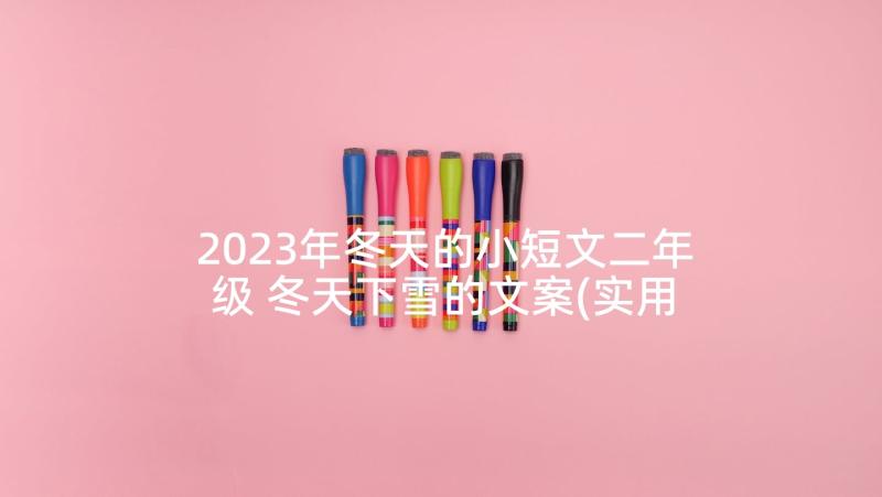 2023年冬天的小短文二年级 冬天下雪的文案(实用5篇)