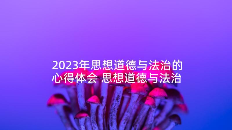 2023年思想道德与法治的心得体会 思想道德与法治心得体会(精选5篇)