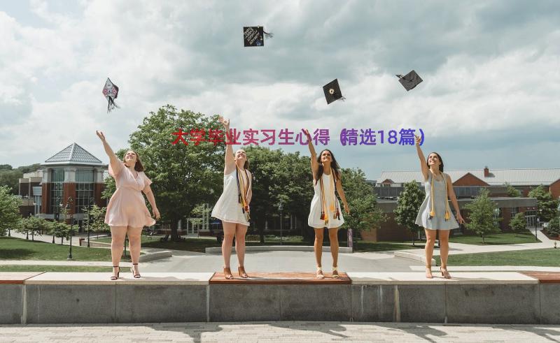 大学毕业实习生心得（精选18篇）