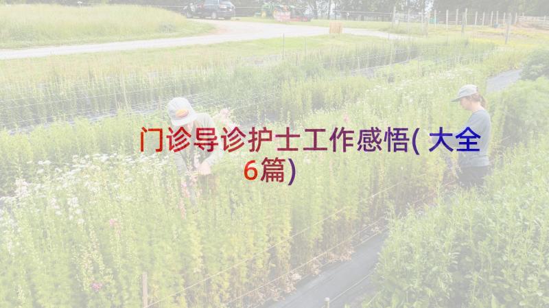 门诊导诊护士工作感悟(大全6篇)