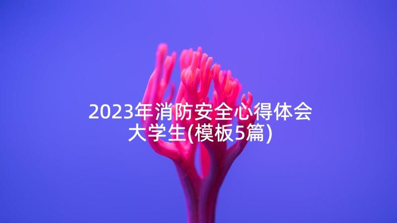 2023年消防安全心得体会大学生(模板5篇)