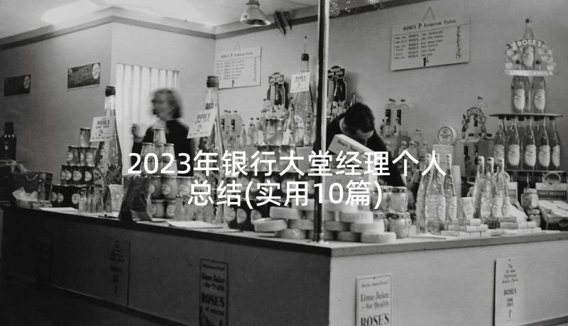 2023年银行大堂经理个人总结(实用10篇)