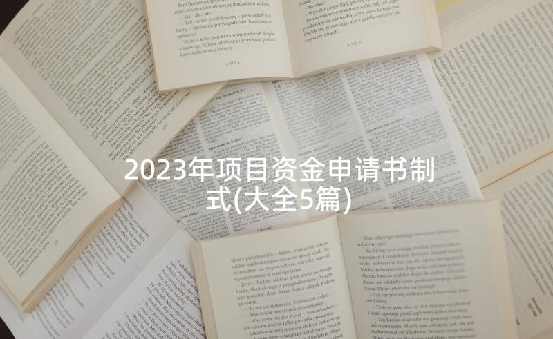 2023年项目资金申请书制式(大全5篇)