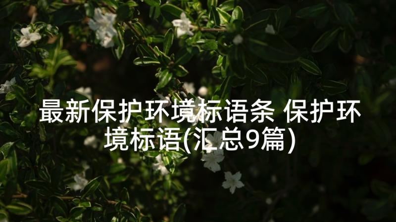 最新保护环境标语条 保护环境标语(汇总9篇)