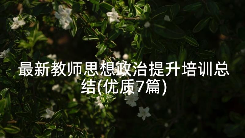 最新教师思想政治提升培训总结(优质7篇)