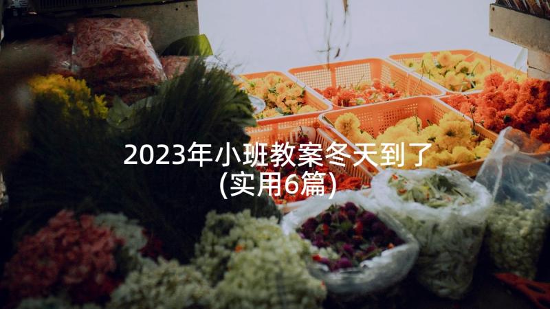 2023年小班教案冬天到了(实用6篇)