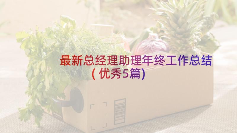 最新总经理助理年终工作总结(优秀5篇)