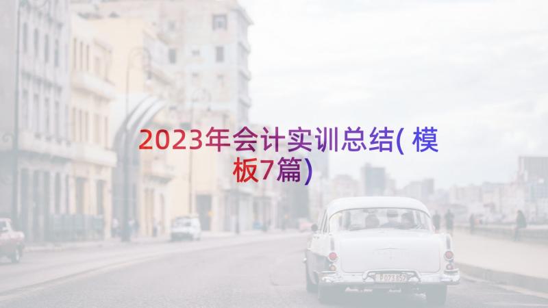 2023年会计实训总结(模板7篇)