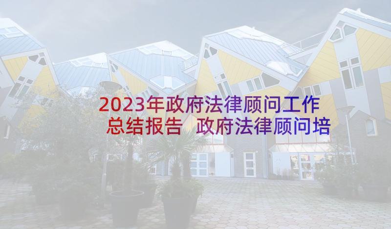 2023年政府法律顾问工作总结报告 政府法律顾问培训心得体会(优质5篇)