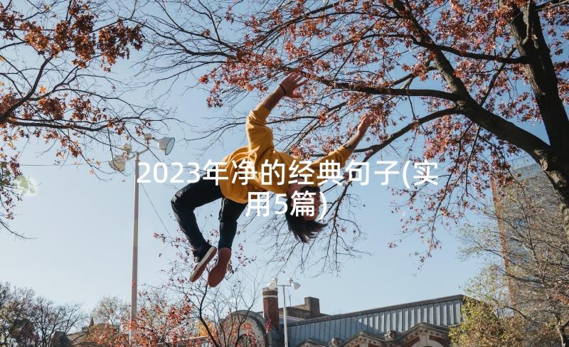 2023年净的经典句子(实用5篇)