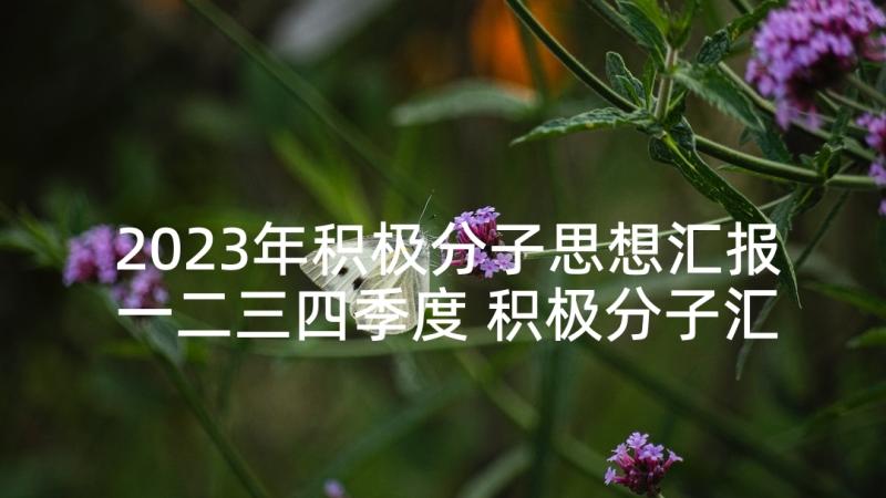 2023年积极分子思想汇报一二三四季度 积极分子汇报(汇总7篇)