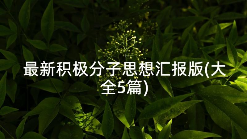 最新积极分子思想汇报版(大全5篇)