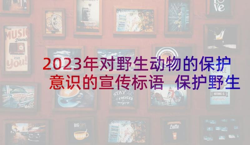 2023年对野生动物的保护意识的宣传标语 保护野生动物的宣传标语(通用5篇)