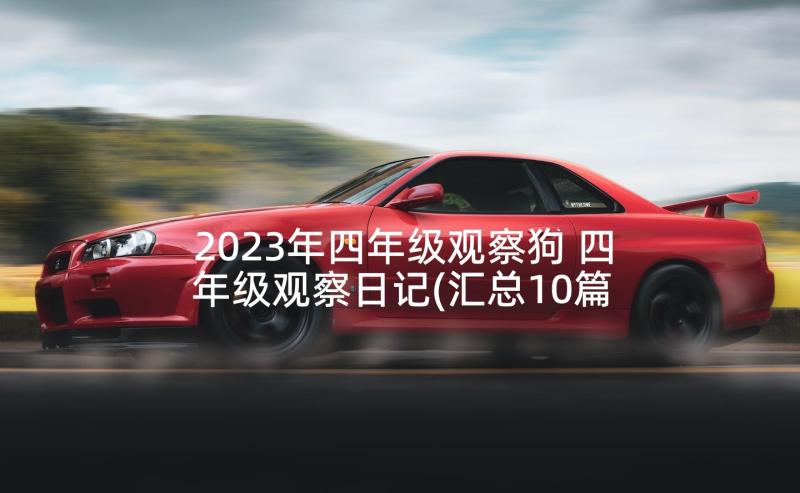 2023年四年级观察狗 四年级观察日记(汇总10篇)