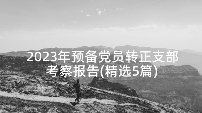 2023年预备党员转正支部考察报告(精选5篇)