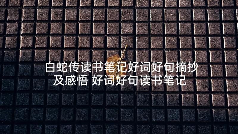 白蛇传读书笔记好词好句摘抄及感悟 好词好句读书笔记(大全5篇)