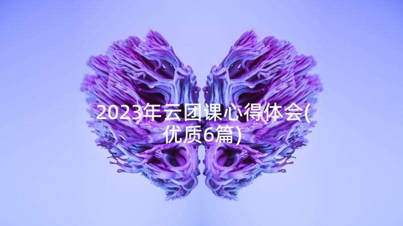 2023年云团课心得体会(优质6篇)