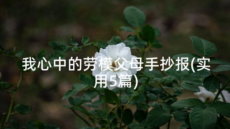 我心中的劳模父母手抄报(实用5篇)