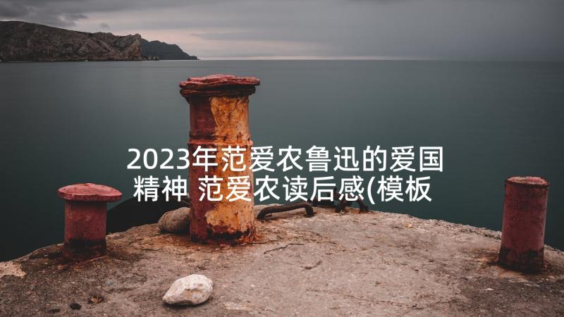 2023年范爱农鲁迅的爱国精神 范爱农读后感(模板8篇)