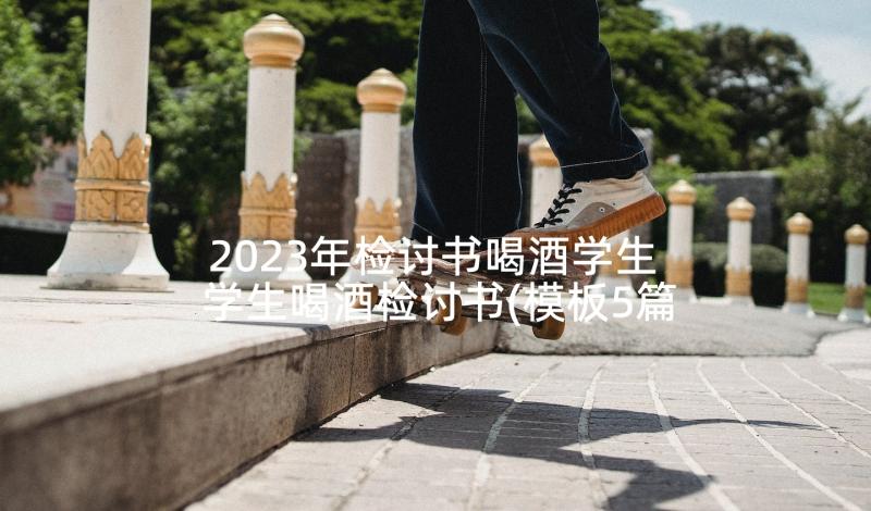 2023年检讨书喝酒学生 学生喝酒检讨书(模板5篇)