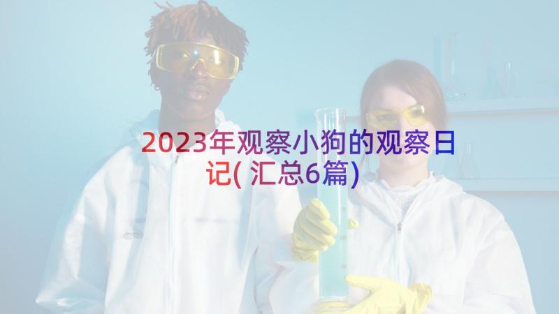 2023年观察小狗的观察日记(汇总6篇)