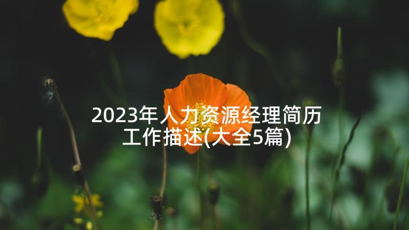 2023年人力资源经理简历工作描述(大全5篇)