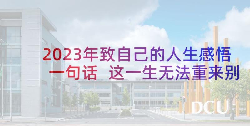 2023年致自己的人生感悟一句话 这一生无法重来别为难自己的人生感悟(精选5篇)