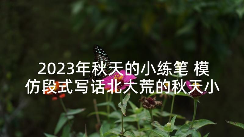 2023年秋天的小练笔 模仿段式写话北大荒的秋天小练笔教学设计(汇总5篇)