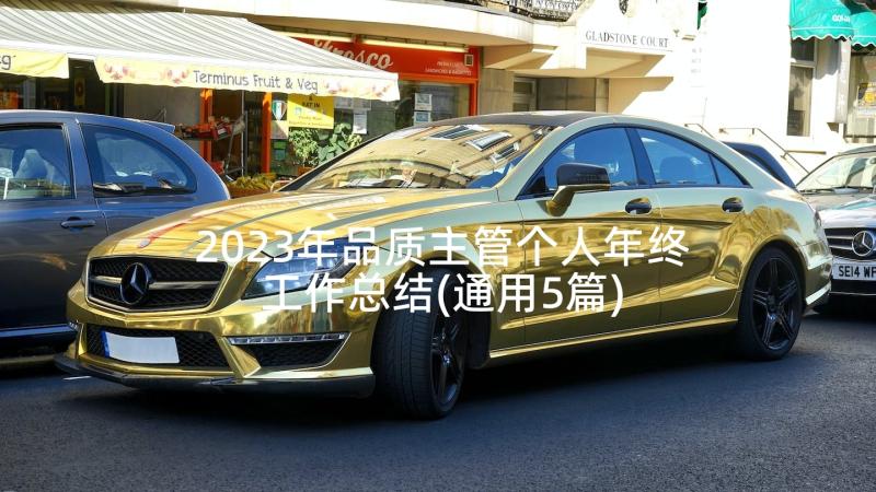 2023年品质主管个人年终工作总结(通用5篇)