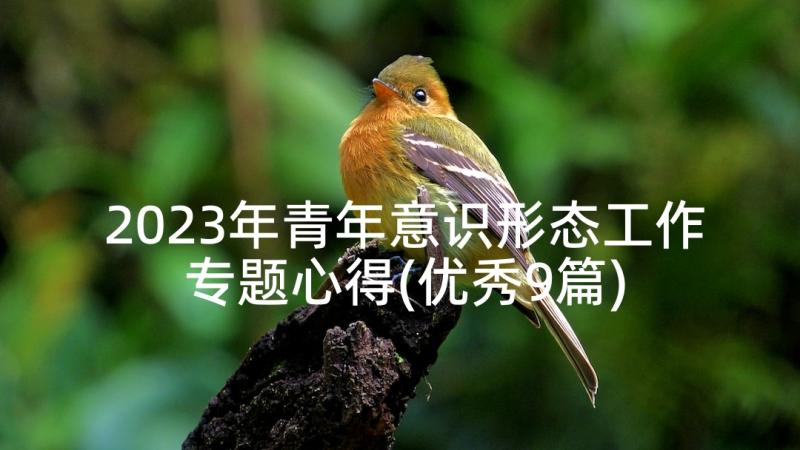 2023年青年意识形态工作专题心得(优秀9篇)