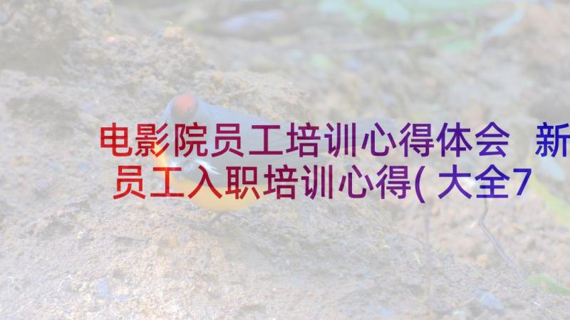 电影院员工培训心得体会 新员工入职培训心得(大全7篇)