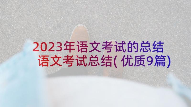 2023年语文考试的总结 语文考试总结(优质9篇)