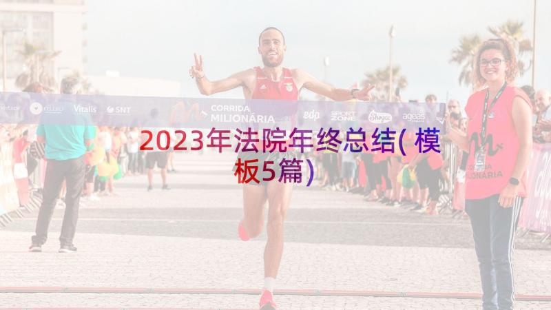 2023年法院年终总结(模板5篇)