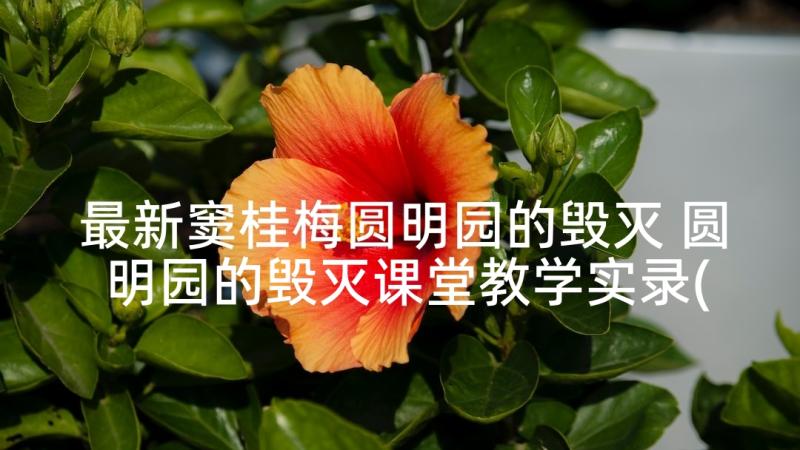 最新窦桂梅圆明园的毁灭 圆明园的毁灭课堂教学实录(汇总5篇)