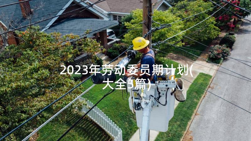 2023年劳动委员期计划(大全5篇)
