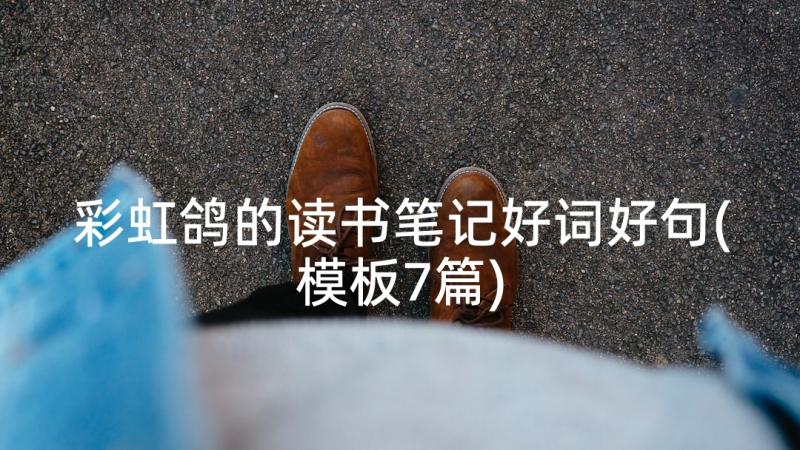 彩虹鸽的读书笔记好词好句(模板7篇)