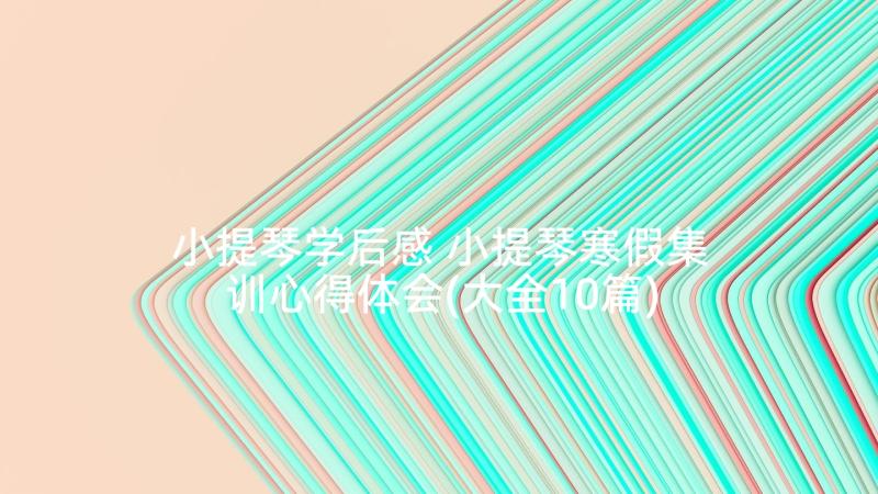 小提琴学后感 小提琴寒假集训心得体会(大全10篇)