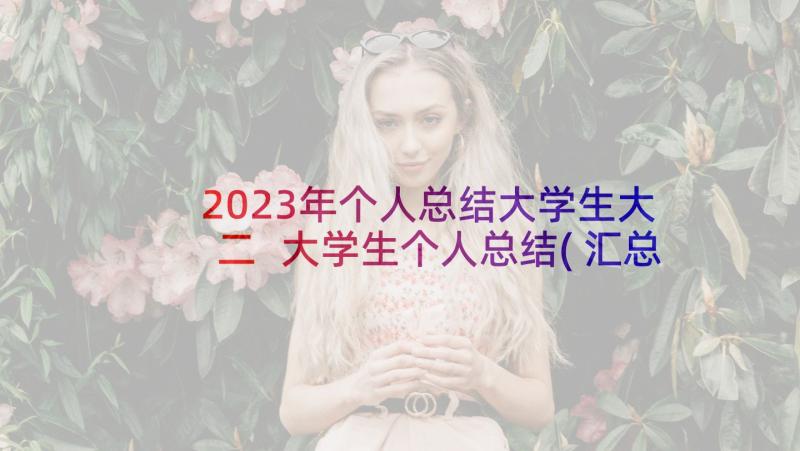 2023年个人总结大学生大二 大学生个人总结(汇总10篇)